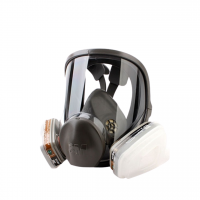 Mascara Cara Completa